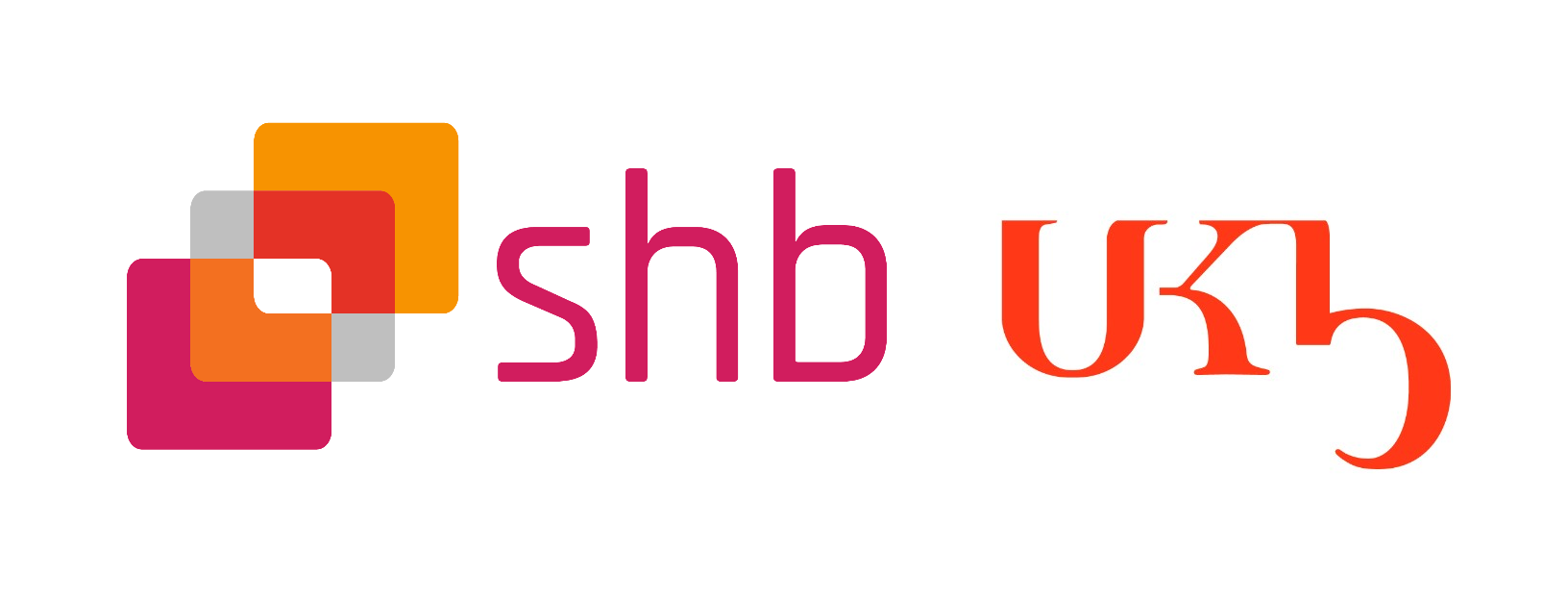 UKB/SHB Netwerkbijeenkomst 11 juni