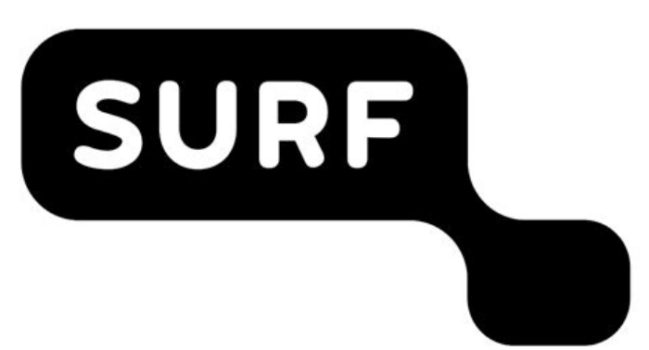 Vacature SURF: Datamanager SURF Journal Catalogue (20 u/w)